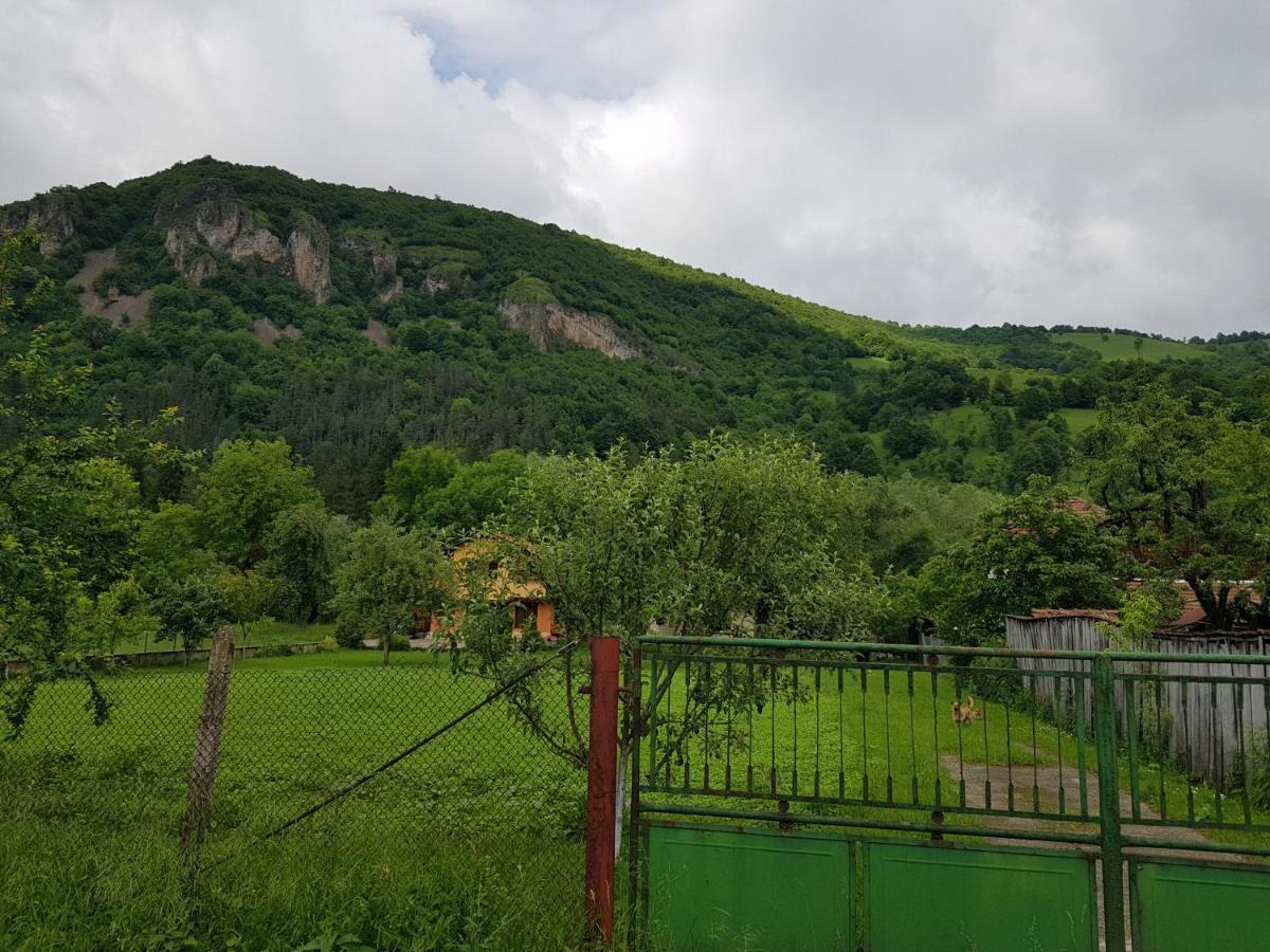 Мечтаната Селска Къща На Реката Със Семейство И Приятели! Ribarica Extérieur photo